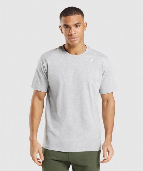 Men's Gymshark Crest T-Shirts Light Grey | CA 5367N8